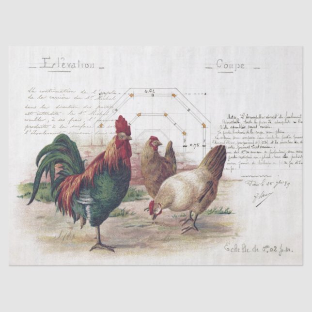Französisch Script Hen Chicken Farmhouse Decoupage Seidenpapier (Vorderseite)