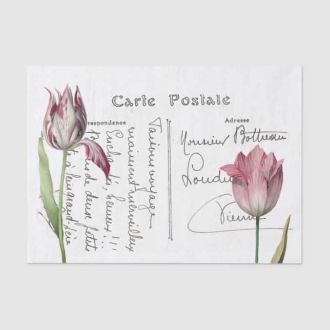 Französisch Script Postcard Pink Tulip Blume Decou Seidenpapier (Vorderseite)
