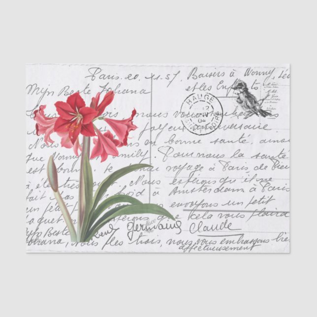 Französisch Script Vintag Amaryllis Bird Postcard Seidenpapier (Vorderseite)