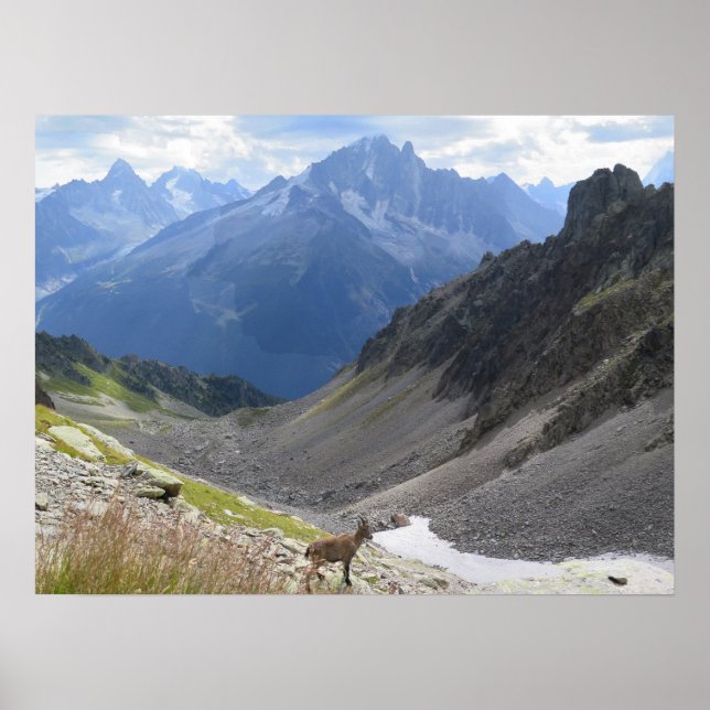 Französische Alpen Chamonix Ibex Poster (Vorne)