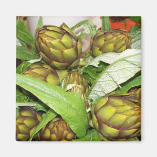 Französische Artichokes - Magnete