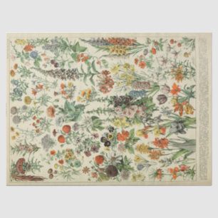 Französische botanische einjährige Blumen Tissue-P Seidenpapier