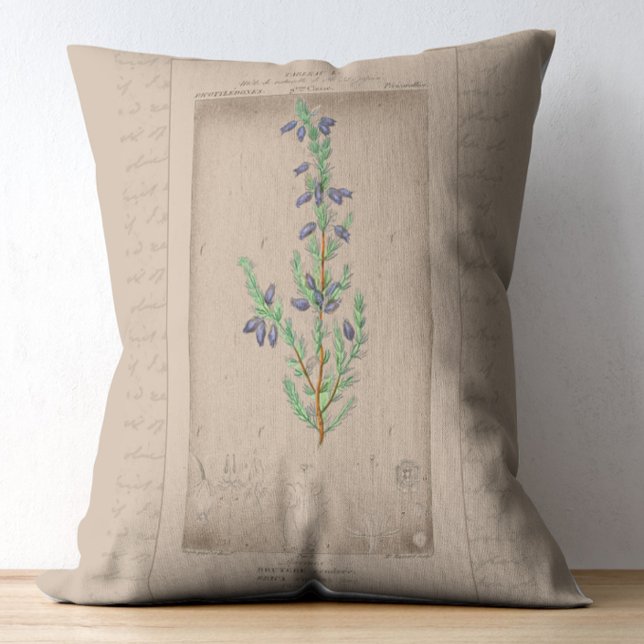 Französische botanische Illustration Bell Heather Dekokissen (Von Creator hochgeladen)