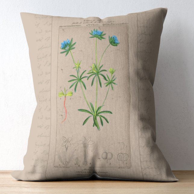 Französische Botanische Illustration Blaues Woodru Dekokissen (Von Creator hochgeladen)