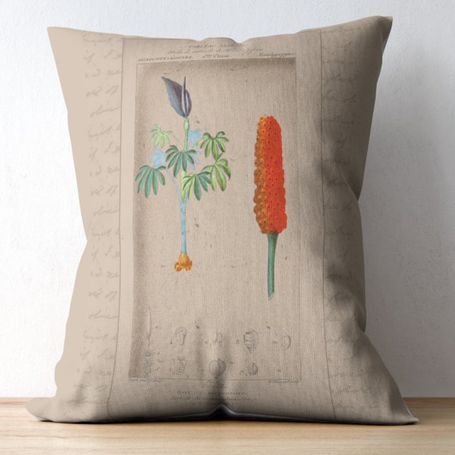 Französische botanische Illustration Dekokissen (Von Creator hochgeladen)