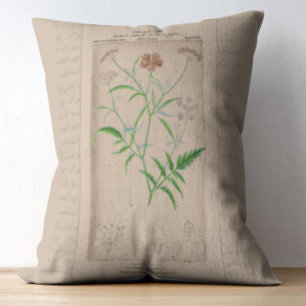 Französische botanische Illustration Hartwurz Dekokissen