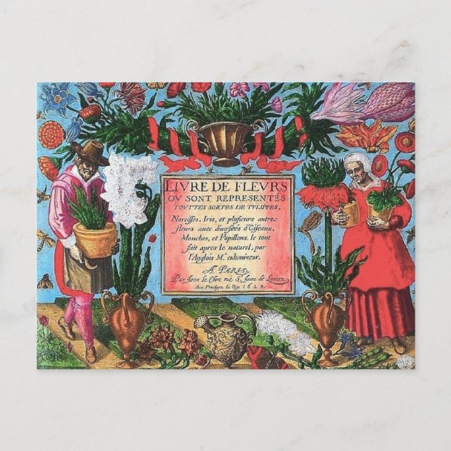 Französische botanische Illustration Postkarte (Vorderseite)