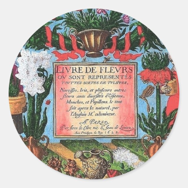 Französische botanische Illustration Runder Aufkleber (Vorderseite)