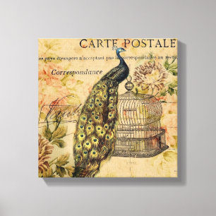 französische botanische Kunst Neuzeit vintage Pfau Leinwanddruck