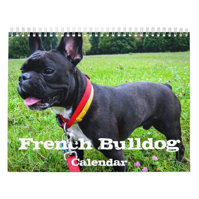 Französische Bulldog-benutzerdefinierte Kalender H (Titelbild)