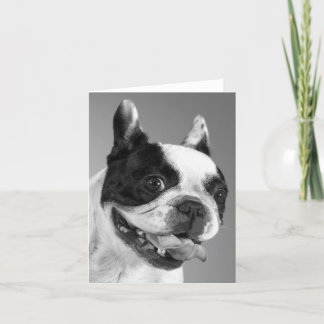 Französische Bulldog-Welpen-Hundekarte Karte