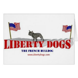 Französische Bulldogge