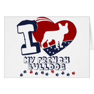 Französische Bulldogge