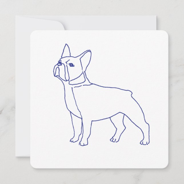 Französische Bulldogge (Vorderseite)