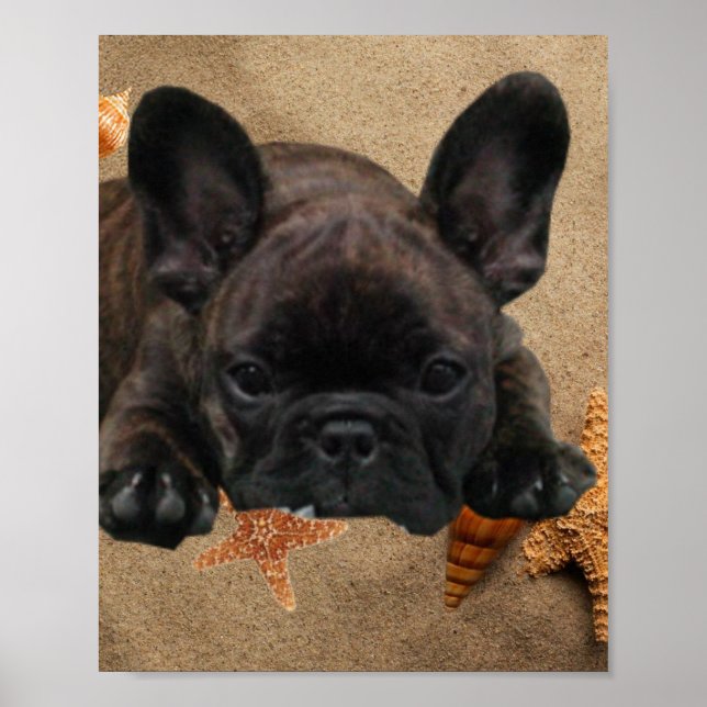 Französische Bulldogge am Meer French Bulldog Poster (Vorne)