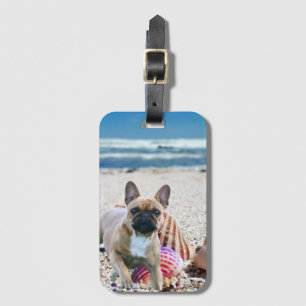 Französische Bulldogge am Strand French Bulldog Gepäckanhänger