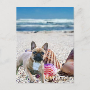Französische Bulldogge am Strand French Bulldog Postkarte