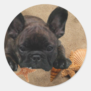 Französische Bulldogge am Strand French Bulldog Runder Aufkleber