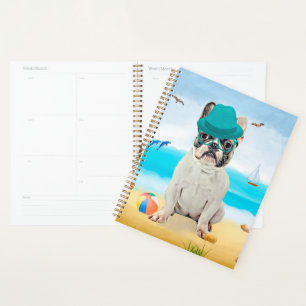 Französische Bulldogge am Strand Planer