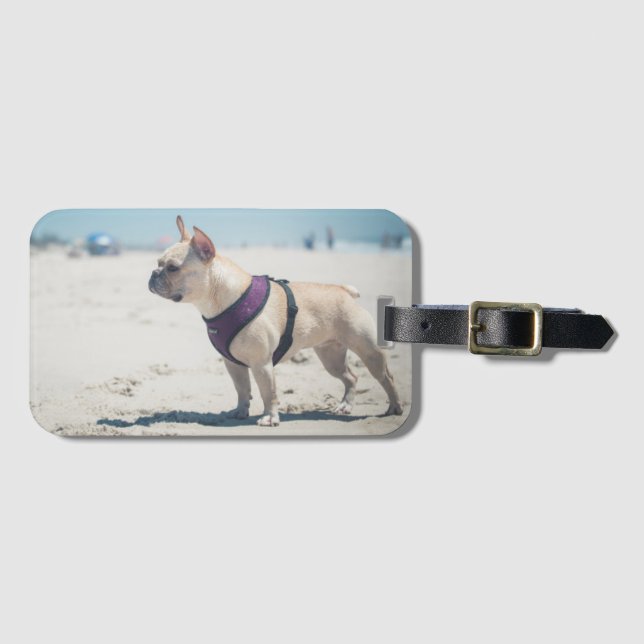 Französische Bulldogge auf Strand Gepäckanhänger (Vorderseite (Horizontal))