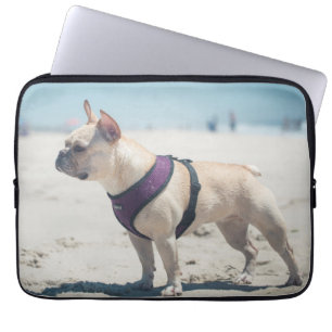 Französische Bulldogge auf Strand Laptopschutzhülle