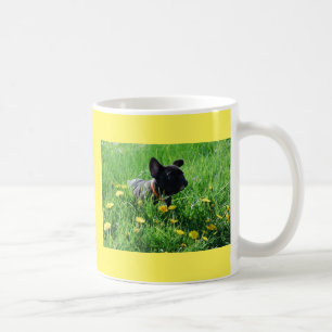 Französische Bulldogge auf Wiese French Bulldog Kaffeetasse