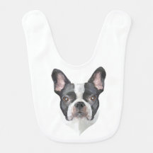 Französische Bulldogge