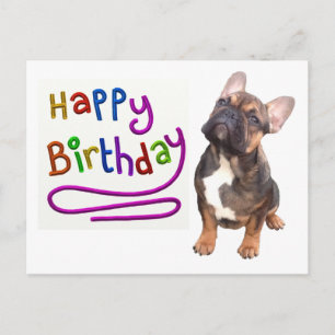 Französische Bulldogge Birthday French Bulldog Postkarte