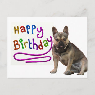 Französische Bulldogge Birthday French Bulldog Postkarte