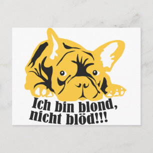 Französische Bulldogge: Blond! Postkarte
