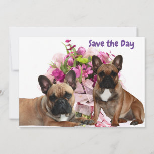 Französische Bulldogge Blumen French Bulldog Feier Feiertagskarte