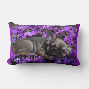 Französische Bulldogge Blumen French Bulldog Lendenkissen
