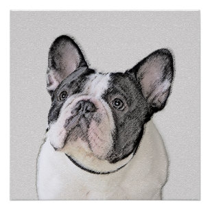 Französische Bulldogge (Brindle Pied) Malerei - Hu Poster