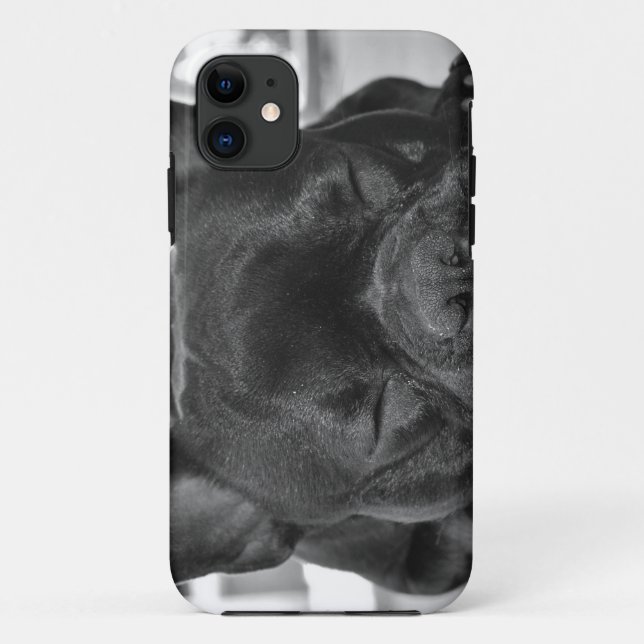 Französische Bulldogge Case-Mate iPhone Hülle (Rückseite)
