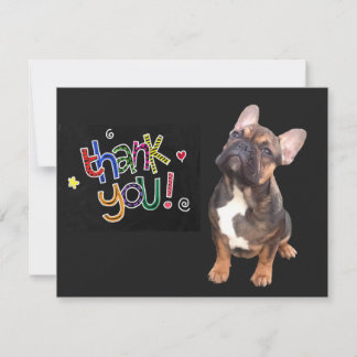 Französische Bulldogge Danke Einladung
