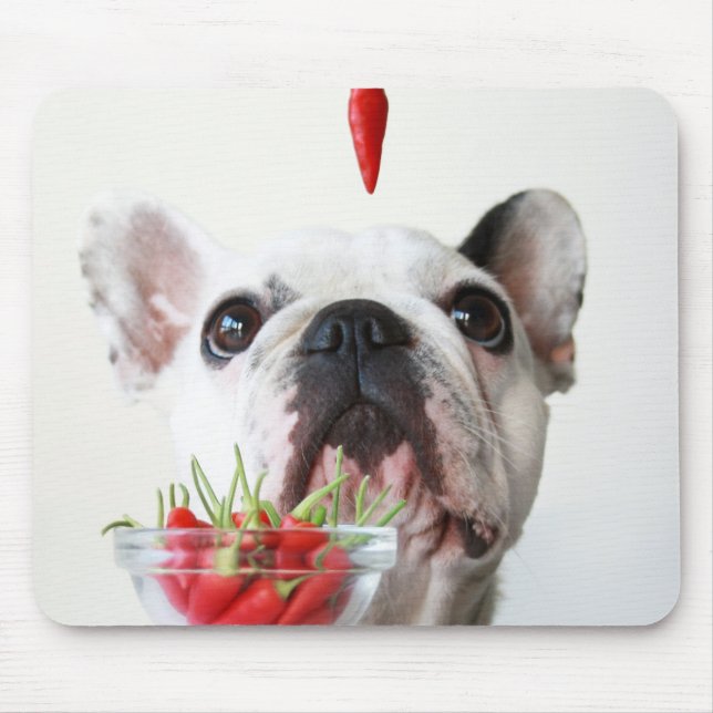 Französische Bulldogge, die einen roten Pfeffer Mousepad (Vorne)