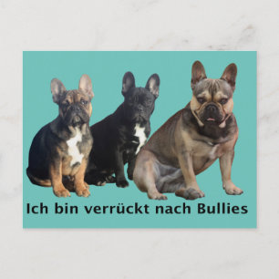 Französische Bulldogge drei Freunde French Bulldog Postkarte