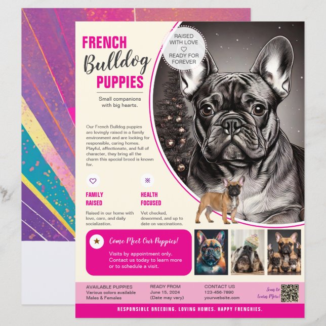 Französische Bulldogge Flyer Lila  (Vorne/Hinten)