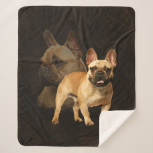 Französische Bulldogge - Frenchie - Brown kariert Sherpadecke