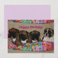 Französische Bulldogge Geburtstag French Bulldog
