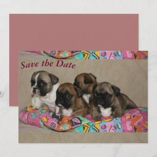 Französische Bulldogge Geburtstag French Bulldog Save The Date