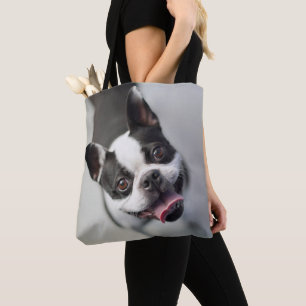 Französische Bulldogge Getty Bild- 