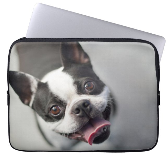Französische Bulldogge Getty Bild-| Laptopschutzhülle (Vorderseite)