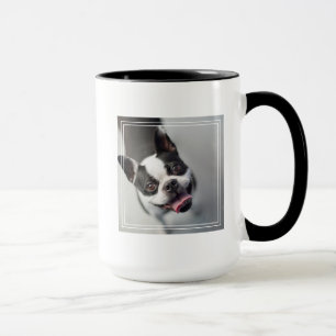 Französische Bulldogge Getty Bild-  Tasse
