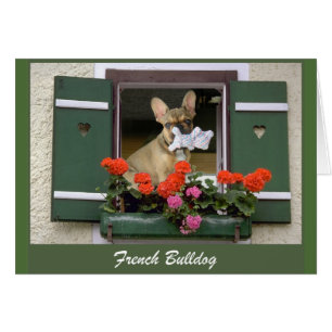 Französische Bulldogge Grußkarte