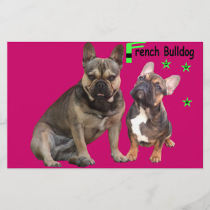 Französische Bulldogge Gute Freunde French Bulldog Briefpapier