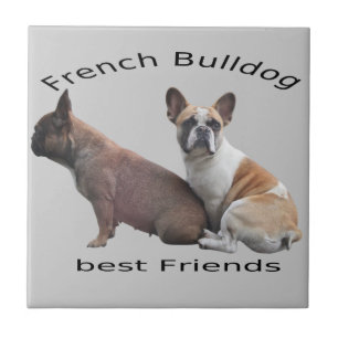 Französische Bulldogge Gute Freunde French Bulldog Fliese