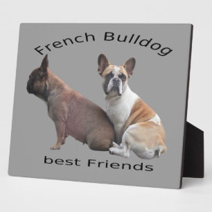 Französische Bulldogge Gute Freunde French Bulldog Fotoplatte