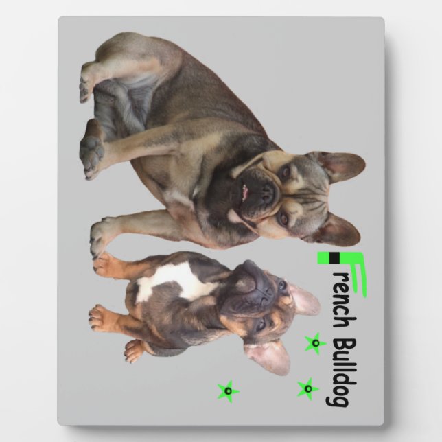 Französische Bulldogge Gute Freunde French Bulldog Fotoplatte (Vorderseite)