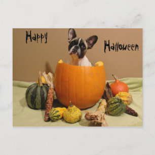 Französische Bulldogge Halloween French Bulldog Postkarte
